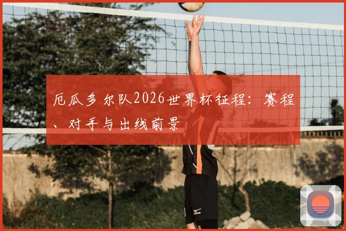 厄瓜多尔队2026世界杯征程:赛程、对手与出线前景