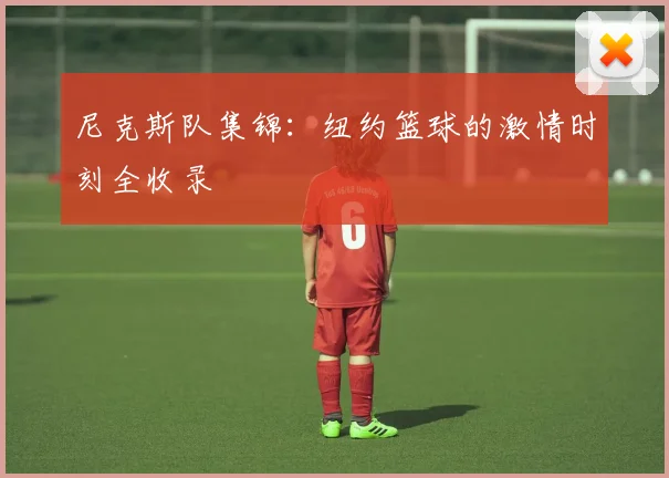尼克斯队集锦：纽约篮球的激情时刻全收录